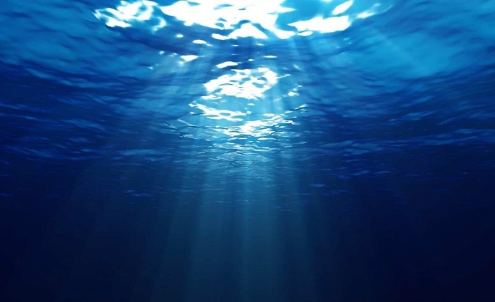 Leia mais sobre o artigo Oceano azul: 6 dicas para buscar por novos nichos de mercado