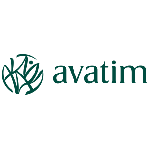 avatim