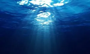 Entenda melhor a estratégia do oceano azul para a busca de novos mercados