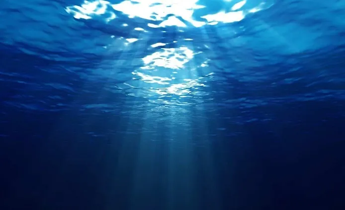 Leia mais sobre o artigo Oceano azul: 6 dicas para buscar por novos nichos de mercado