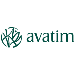 Avatim